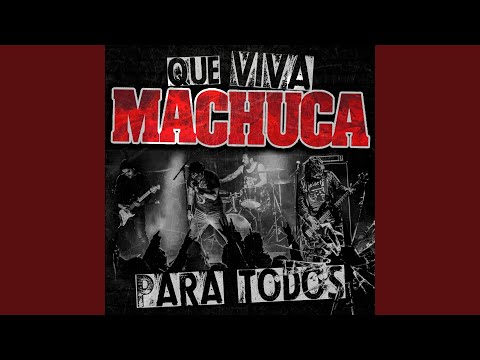 Ver video de Cicatriz