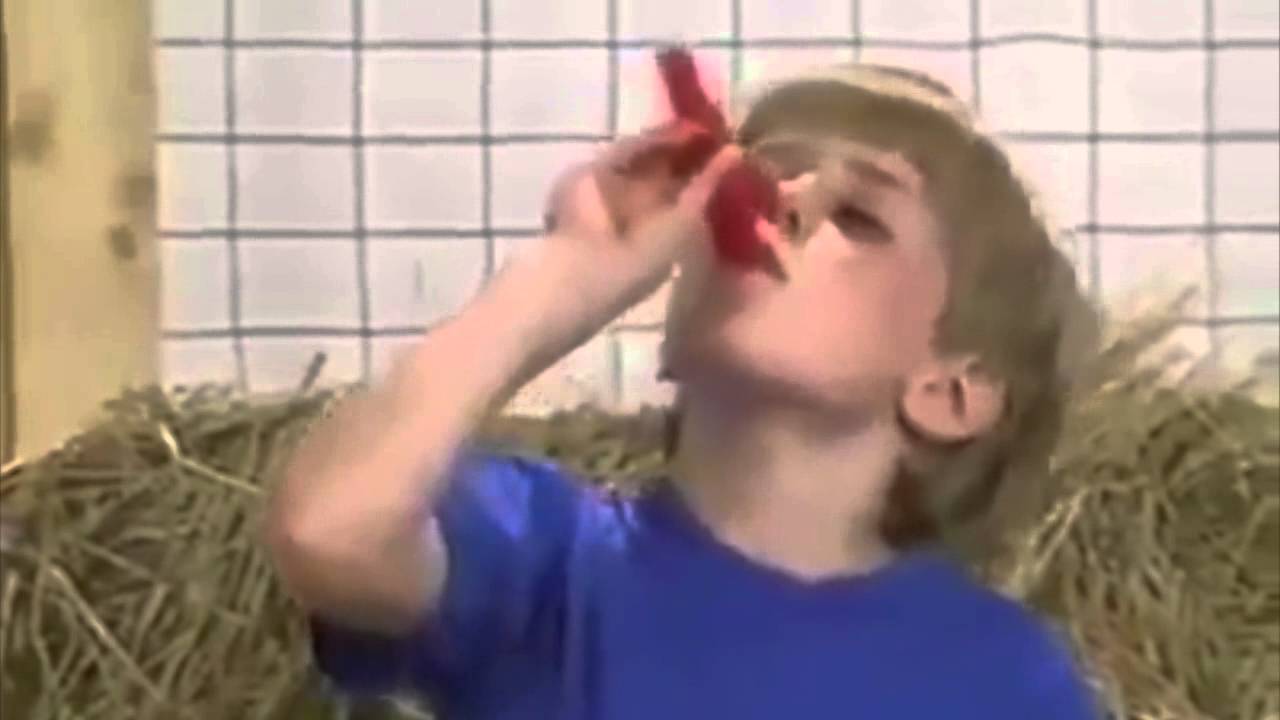 Kazoo Kid (Edit) YouTube