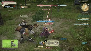 Final Fantasy XIV ARR - Marauder - My First Axe