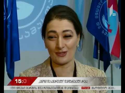 ახალი პოლიტიკური გაერთიანების ყრილობა