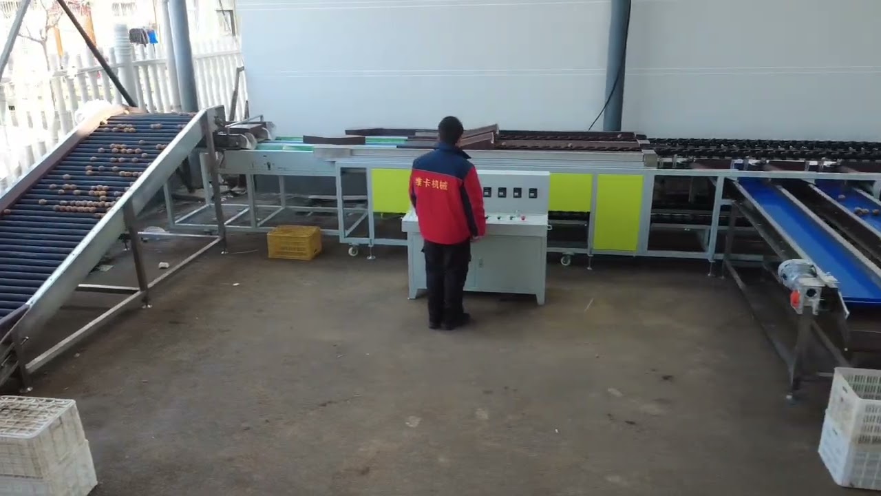 Sorting machine , grading machine
