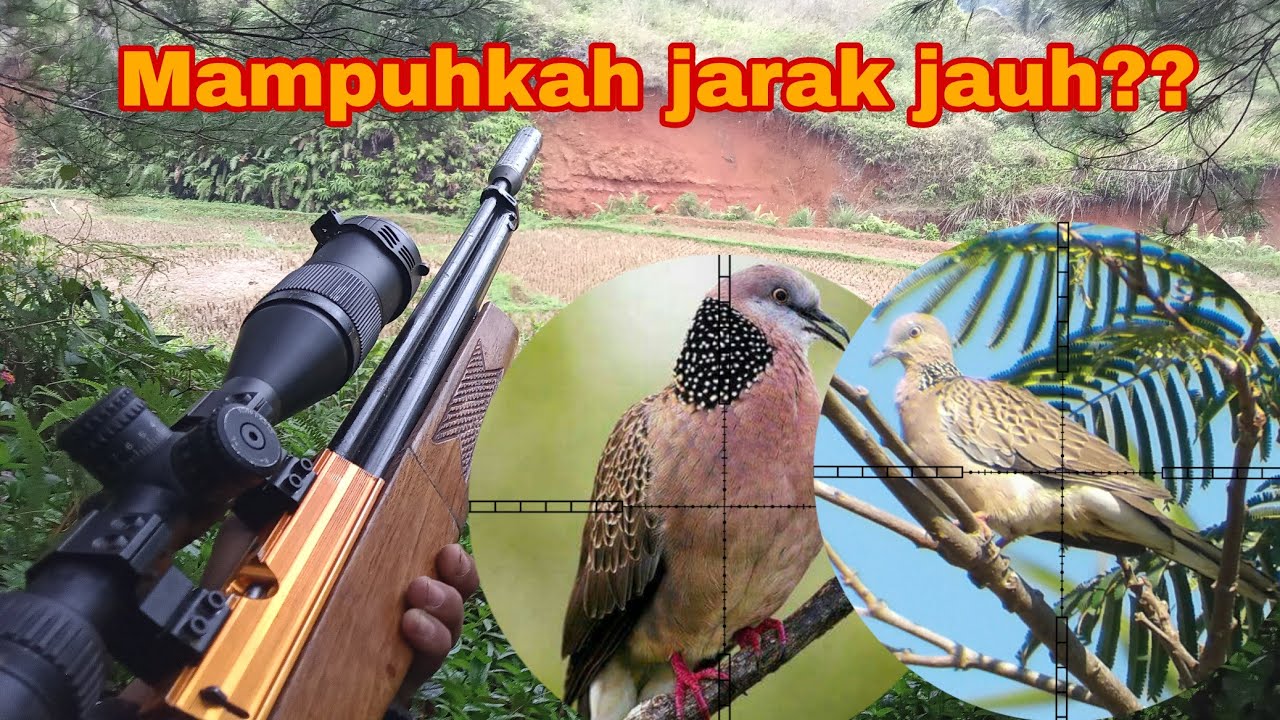 UKLIK SI INOVA MAMPUHKAH LONGRANGE‼️