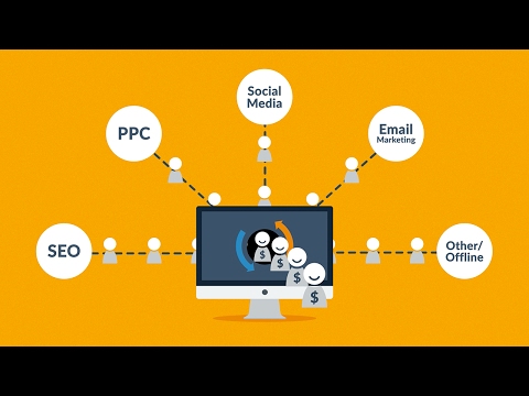 Columbia Wordpress Website Design Consultant