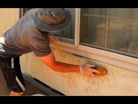 MOLD Removal from STUCCO - DIY Simple Solution