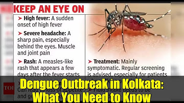 Dengue Outbreak in Kolkata: What You Need to Know
