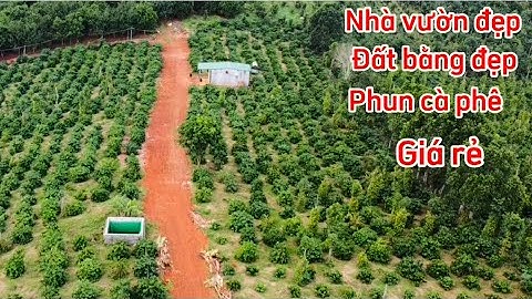 Bán lô đất nhà cửa điện nước đầy đủ nằm ngay dân cư dt:1,4 ha phun cà phê 