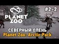 Planet Zoo #2-2 Северный олень (Planet Zoo: Arctic Pack)