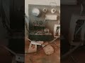 #shortvideo
