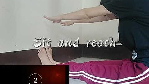 Curl-ups, Push-ups, Sit and Reach