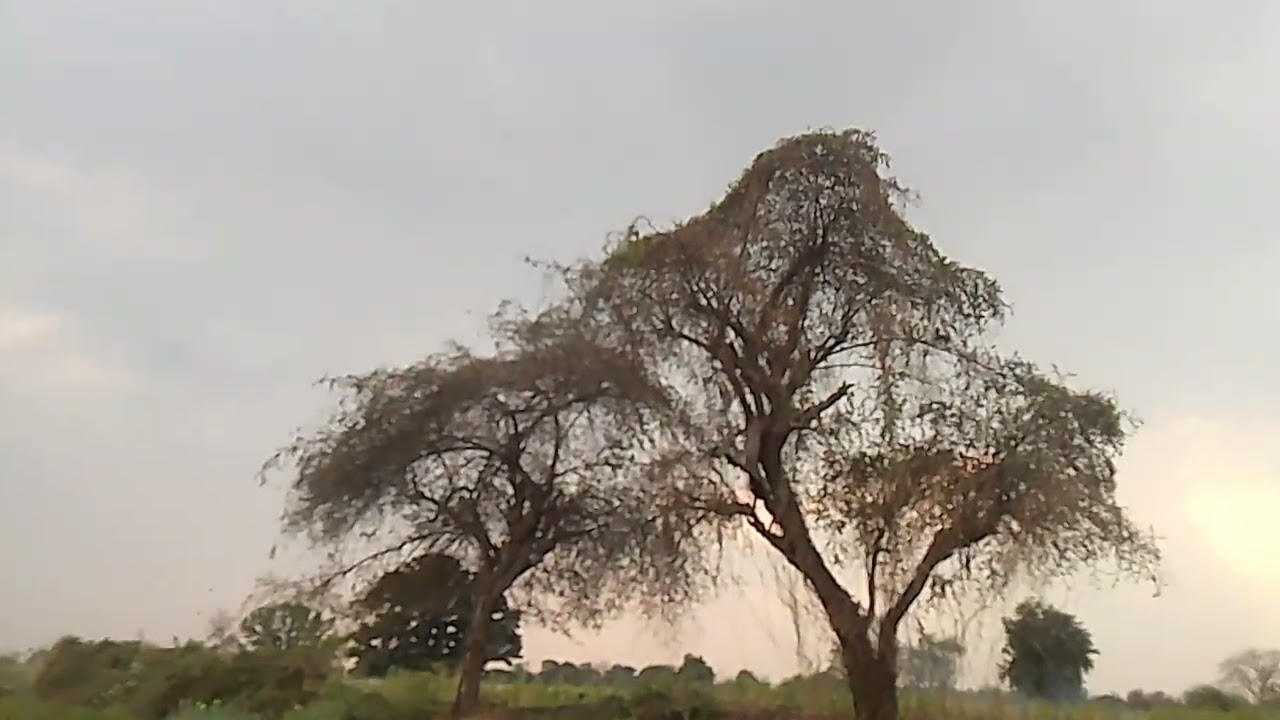 हॅलो नये व्हिडिओ 🙏