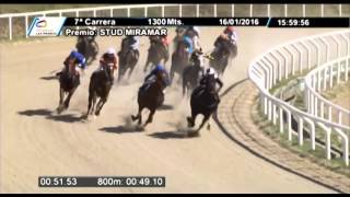 Vidéo de la course PMU PREMIO STUD MIRAMAR