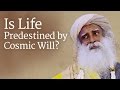 Is Life Predestined by Cosmic Will? - Sadhguru