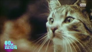 Petra Zieger - Katzen bei Nacht (Official Music Video 1986)