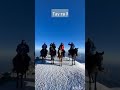 выносливость совершили восхождение на Западную вершину Эльбруса на лошадях карачаевской породы