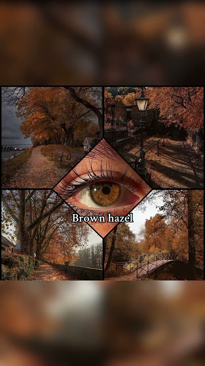 Hazel eyes👁️ PT.2