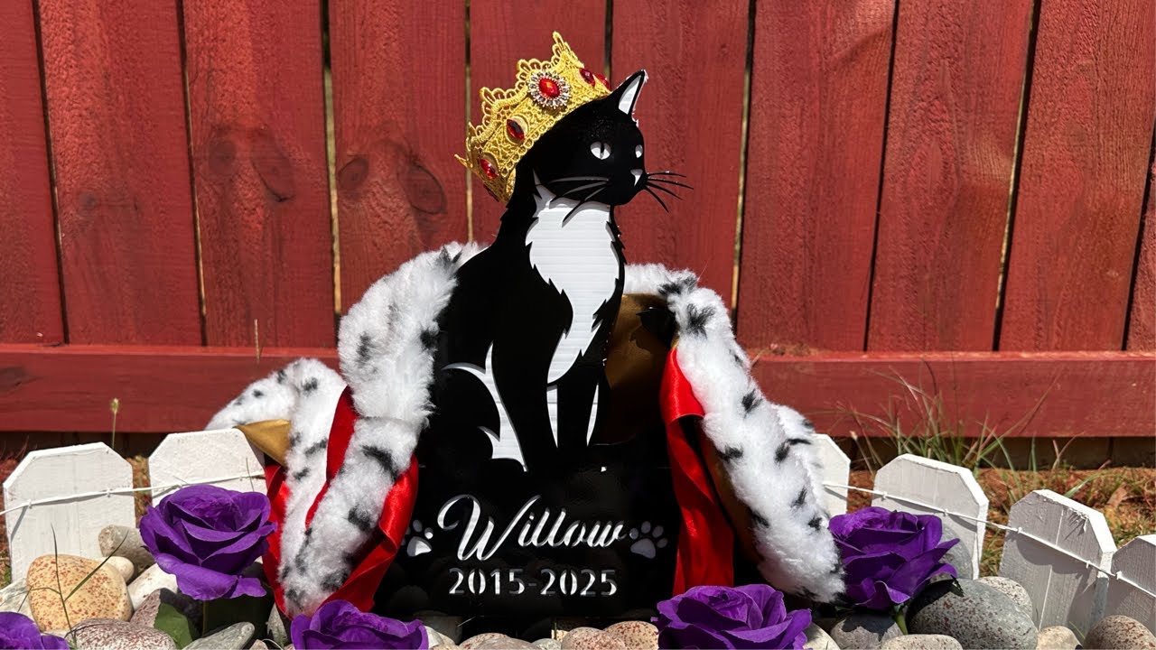 Willow’s Memorial Service. 