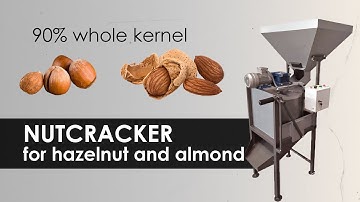 Cracking hazelnuts and almonds in industrial plants
