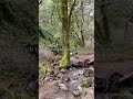 Fairway or Buck Gulch Falls. Full details on IG/TT