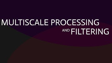 Multiscale Processing and Filtering