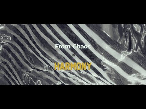 Mirror Shorts - From Chaos to Harmony