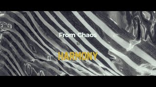 Mirror Shorts - From Chaos to Harmony