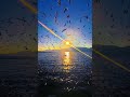Peaceful Ocean Views & Graceful Birds in Flight /🐦💙Wings Over the Sea | Stunning Nature Moments 🌅🕊️