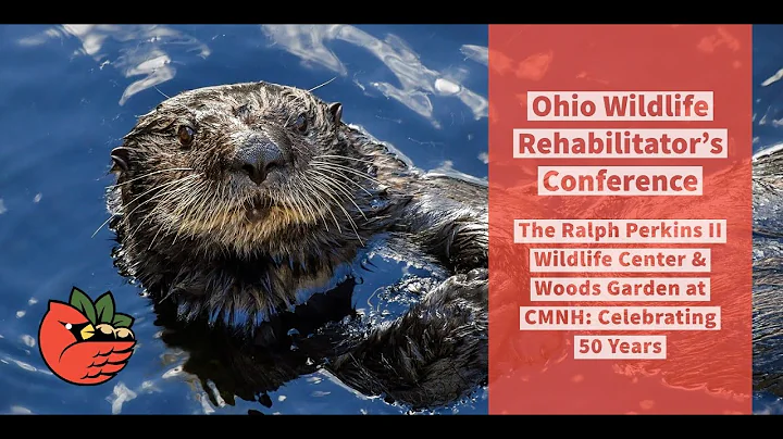 The Ralph Perkins II Wildlife Center & Woods Garde...