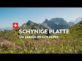 El jardín de los Alpes Suizos - Schynige Platte