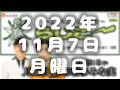 【令和喜多みな実】よしもとラジオ高校～らじこー 2022.11.7