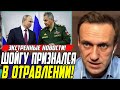 Экстренно! ШОЙГУ СОЗНАЛСЯ! Звонок Путина ПРО ОТРАВЛЕНИЕ НАВАВАЛЬНОГО! Навальный разносит!