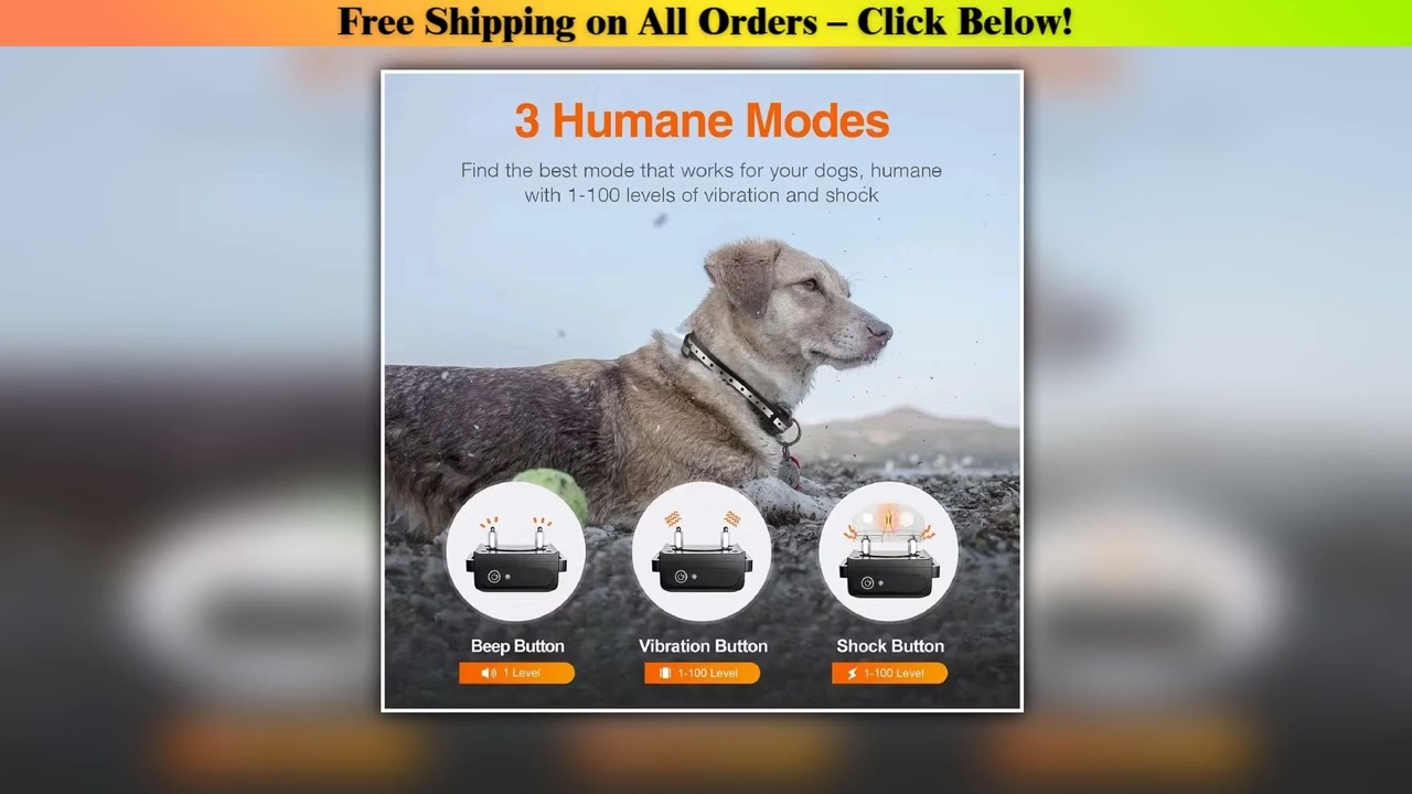 1000m Dog Training Collar with Remote Control ,Waterproof Electric Collar for All Size Dogs