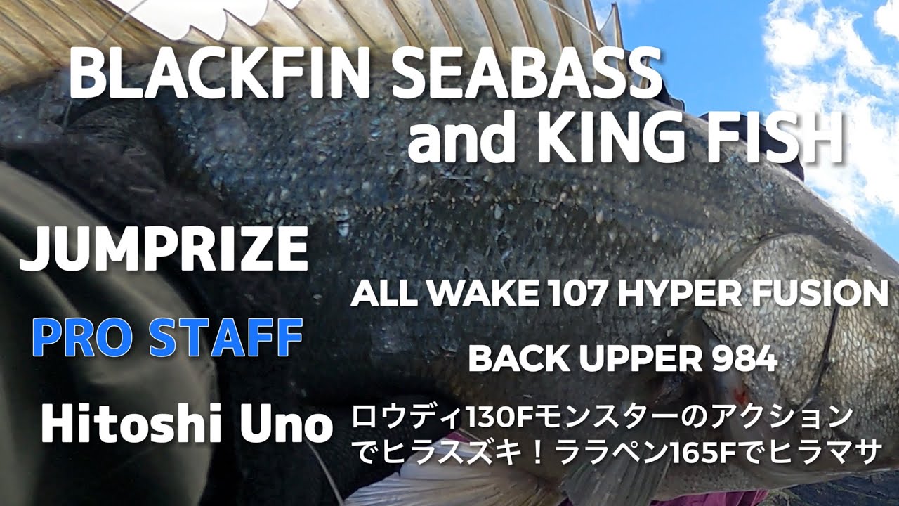 ジャンプライズ バックアッパー984 Www Vetrepro Fr ジャンプライズ バックアッパー984 Www Vetrepro Fr