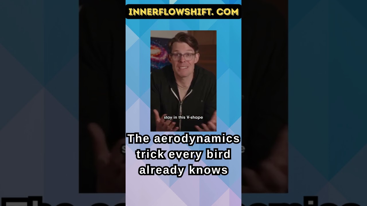 How birds save 30% energy just by flying smart! Nature’s engineering: the genius of the V formation