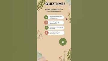 Anatomy and Physiology MCQ: Medulla Oblongata Function