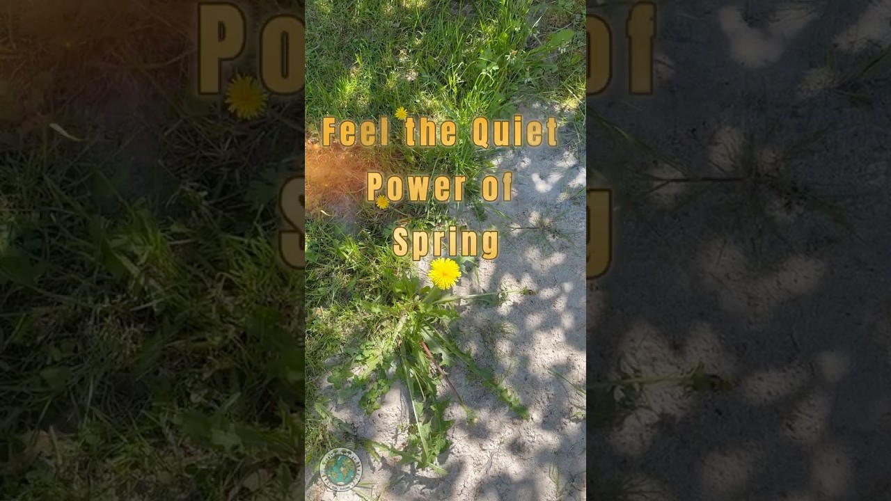 Feel the Quiet Power of Spring
