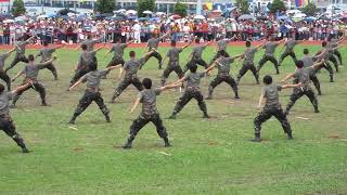 匕首刺 Bi Shou Ci, Dagger Thrust Skills