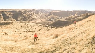 Hunting Idaho Mountain Birds  Chukar, Hungarian Partridge & Quail | The Flush: Season 10, Episode 7