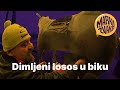 Dimljeni losos u biku