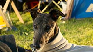 Remembering Max