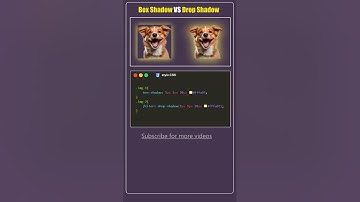 Box Shadow VS Drop Shadow in CSS #shorts #css