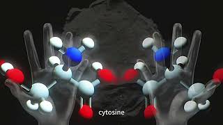 We Are All Stardust, But Perhaps Also Extraterrestrial OSIRIS REx and the Cosmic Origins of Life's B