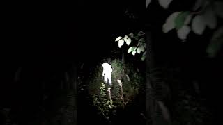Something Followed Us Into the Woods #camping #paranormal #horror