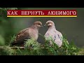 Как вернуть любимого человека/Молитва вернуть мужа в семью