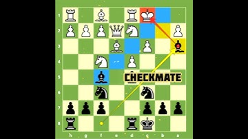 Jan-Krzysztof Duda’s Double Queen sacrifice against Hikaru Nakamura 🔥Speed Chess Championship 2019