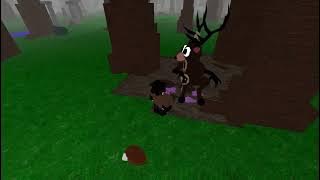 2038299244 126509999114328 1763238998699