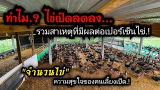 ทำไมไข่เป็ดลดลง | รวมสาเหตุที่ทำให้ไข่เป็ดลดลง