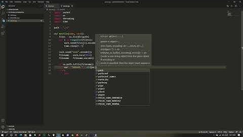 Python Tutorial | File Transfer with Python | Server Part | Part - 1 | Hindi/Urdu