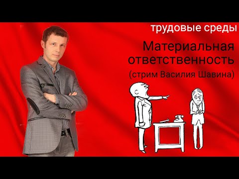 Материальная ответственность (стрим Василия Шавина)