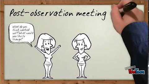 Observation-Feedback