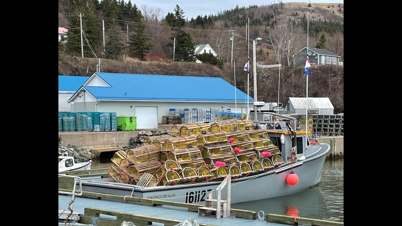 Setting Day, Ballantynes Cove Nova Scotia, Canada 2022